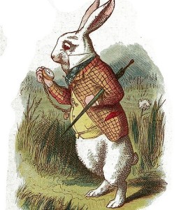 untitledwhie-rabbit-alice-in-wonderland