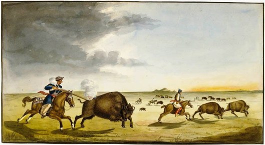 buffalo_hunting_in_the_summer_1822 (1)